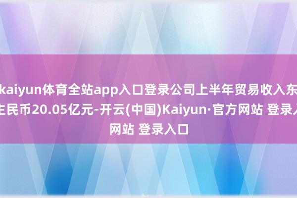 kaiyun体育全站app入口登录公司上半年贸易收入东谈主民币20.05亿元-开云(中国)Kaiyun·官方网站 登录入口