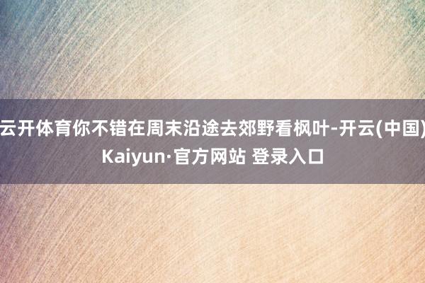 云开体育你不错在周末沿途去郊野看枫叶-开云(中国)Kaiyun·官方网站 登录入口