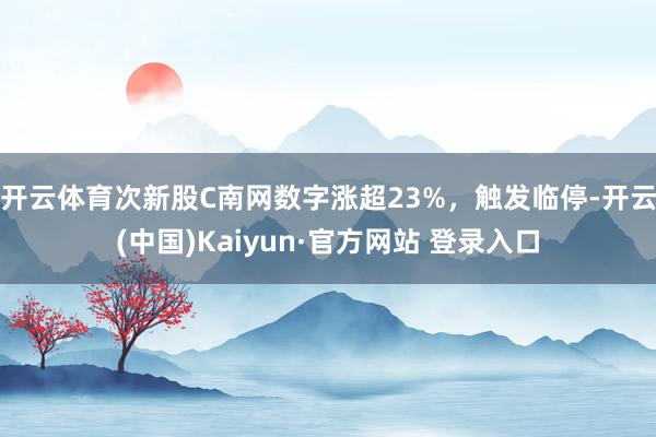 开云体育次新股C南网数字涨超23%，触发临停-开云(中国)Kaiyun·官方网站 登录入口
